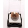 Anillo de Cobre